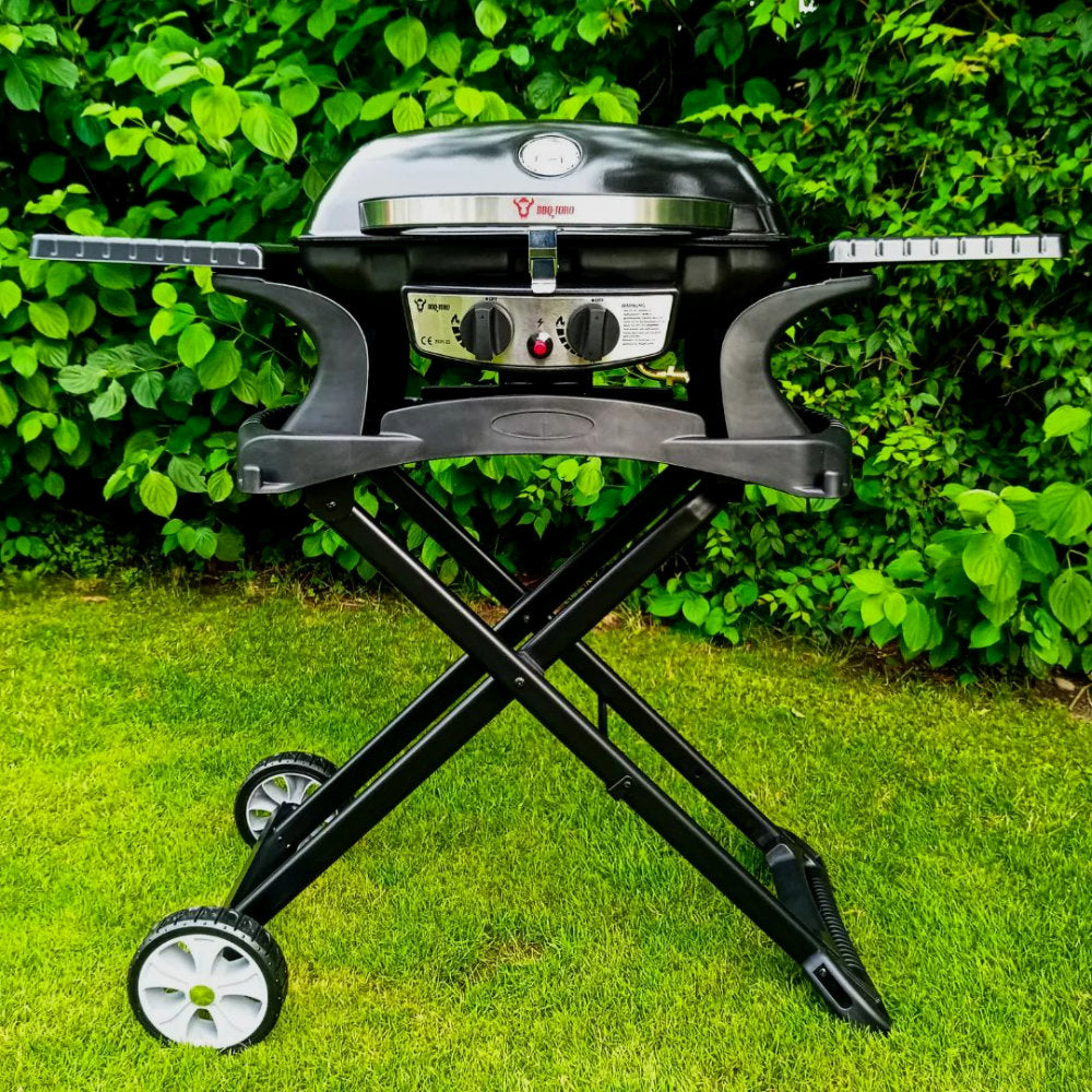 Tischgasgrill,  2 Brenner, tragbar, inkl. Grilltisch