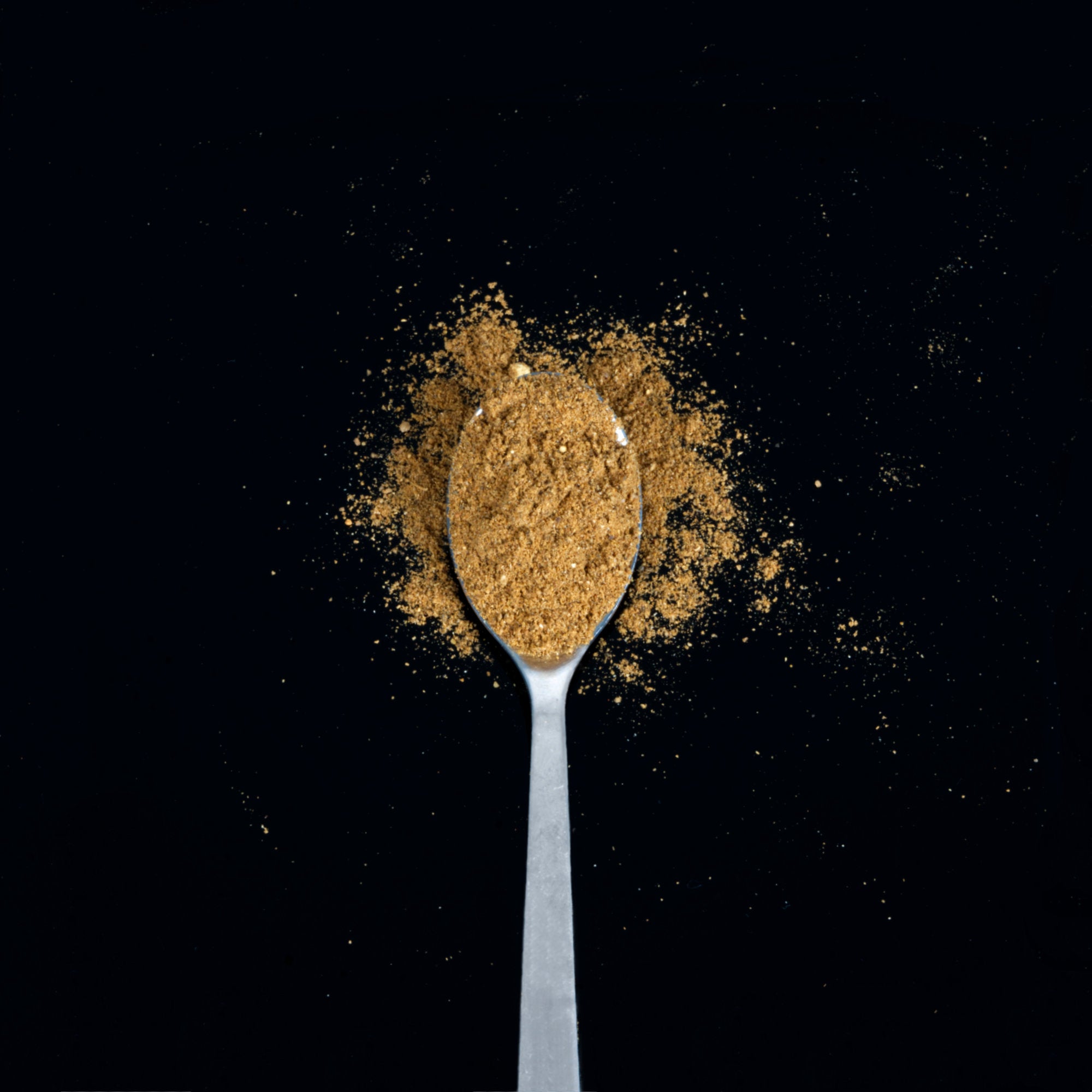 Mélange d'épices « Garam Masala », 90 g, pour curry indien